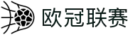 欧冠足球-欧洲冠军联赛官方中文网站